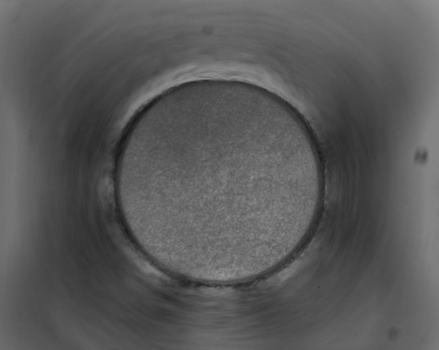 X0000101091498200807171835