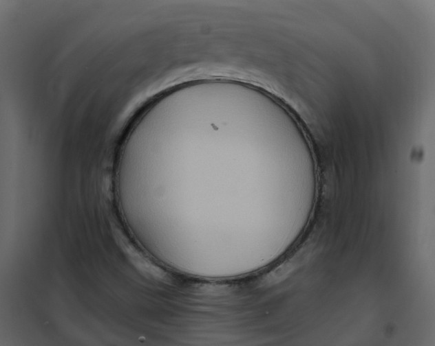 X0000101091499200807171835