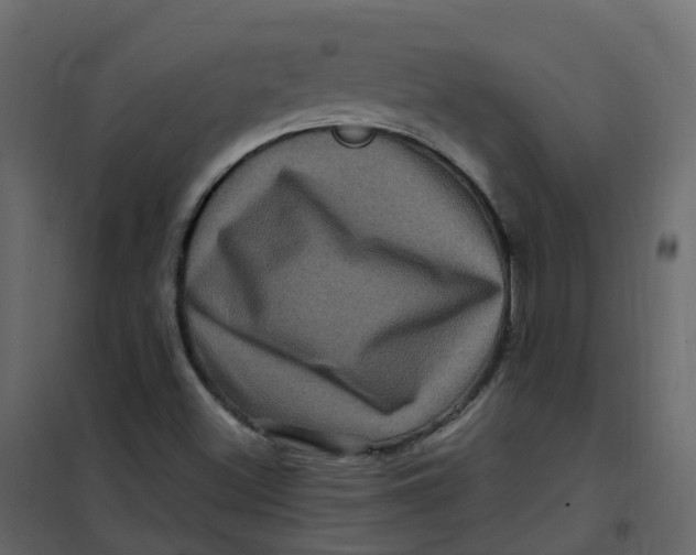 X0000101091500200807171835