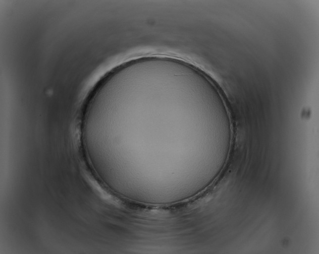 X0000101091503200807171835