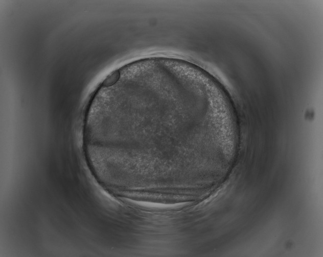 X0000101091504200807171835