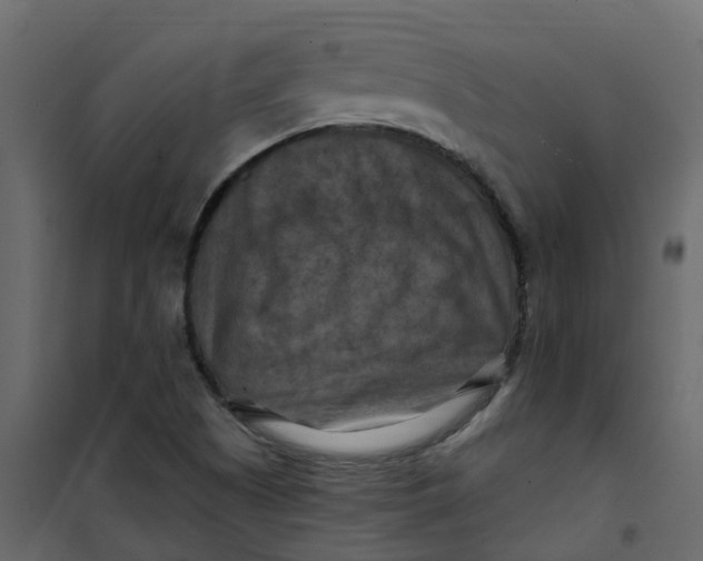 X0000101091505200807171835