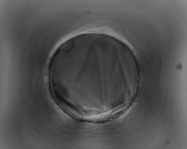 X0000101091506200807171835