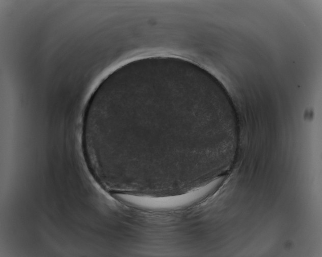 X0000101091508200807171836