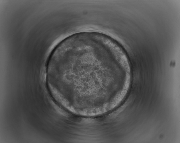 X0000101091509200807171836