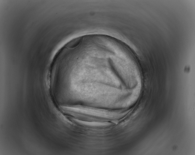 X0000101091510200807171836