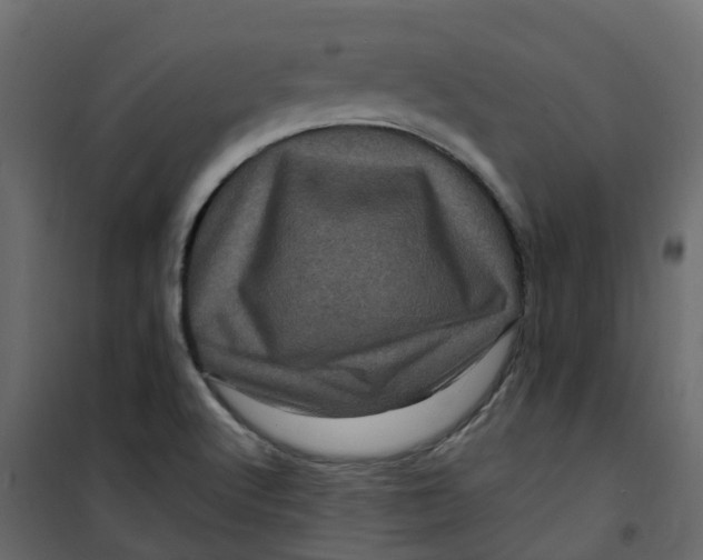 X0000101091512200807171836