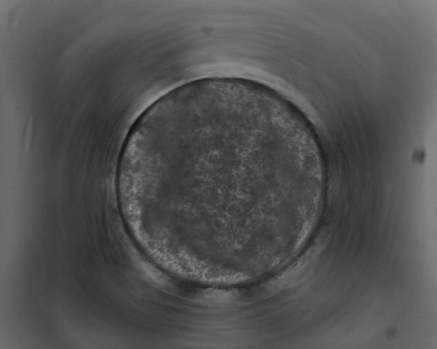 X0000101091513200807171836