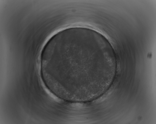 X0000101091515200807171836