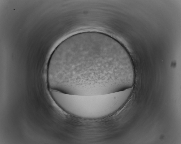 X0000101091516200807171836