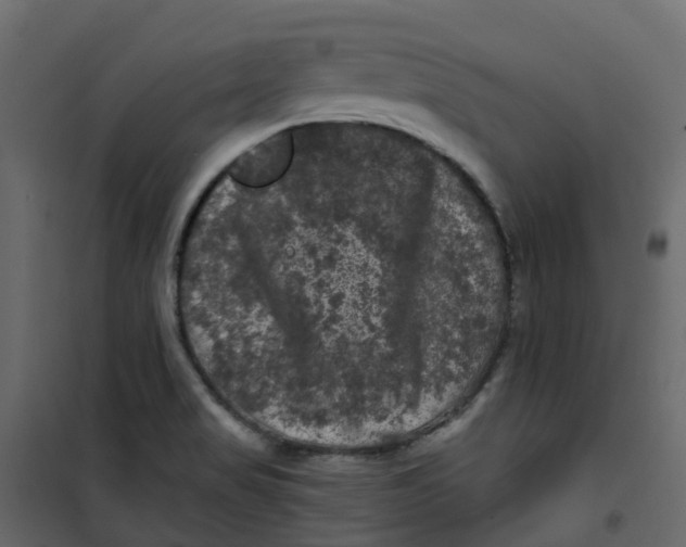 X0000101091517200807171836