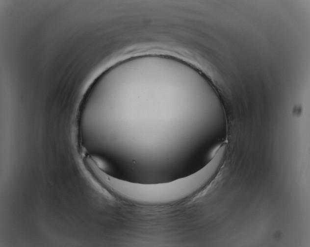 X0000101091518200807171836