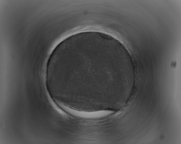 X0000101091519200807171836