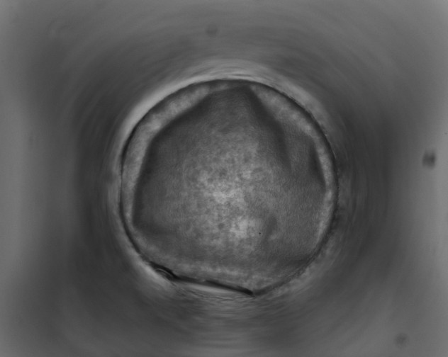 X0000101091520200807171836