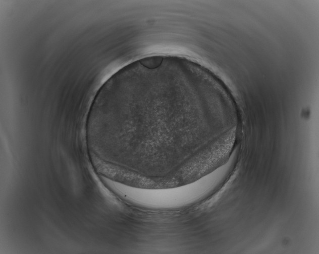 X0000101091521200807171836