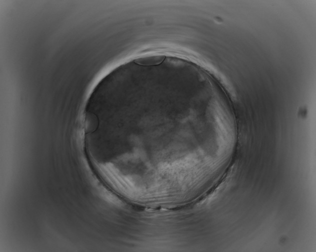 X0000101091522200807171836