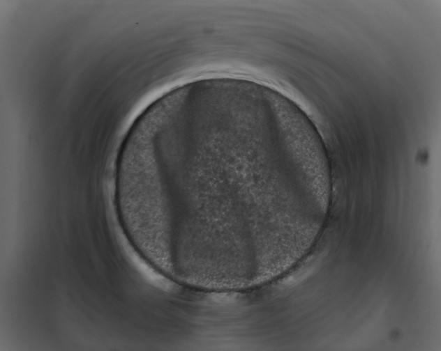 X0000101091523200807171836