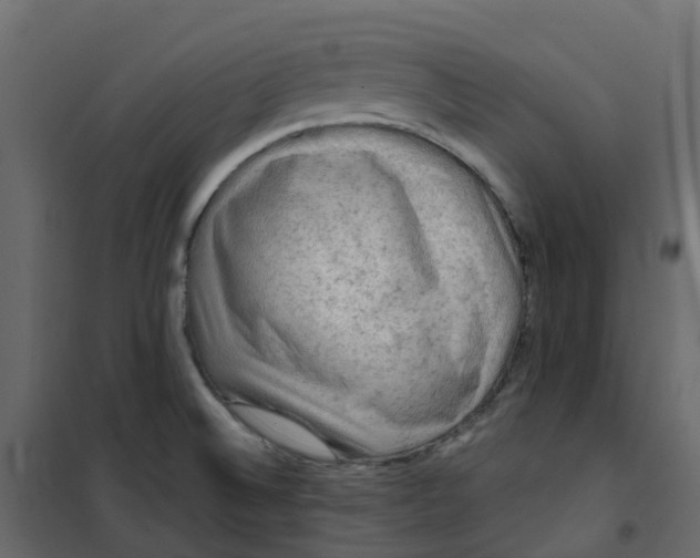 X0000101091524200807171836