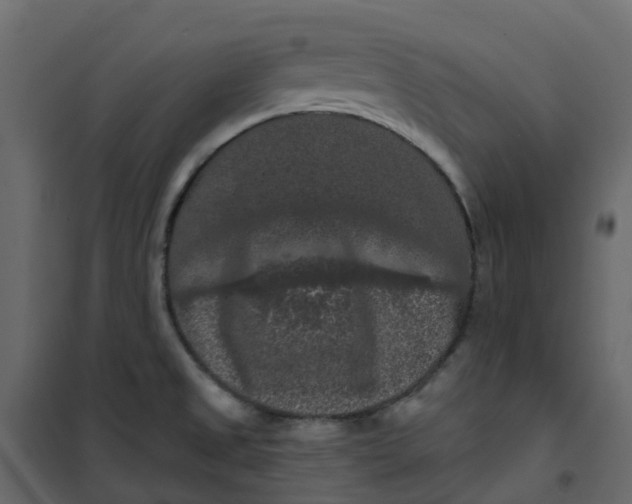 X0000101091525200807171836