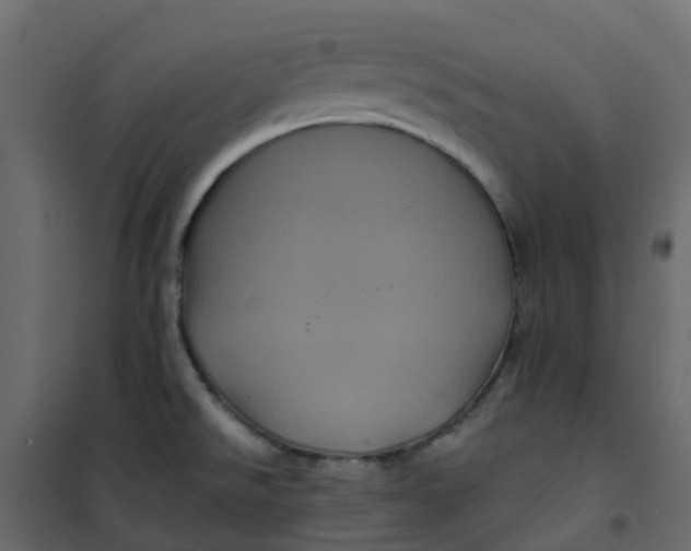 X0000101091526200807171836