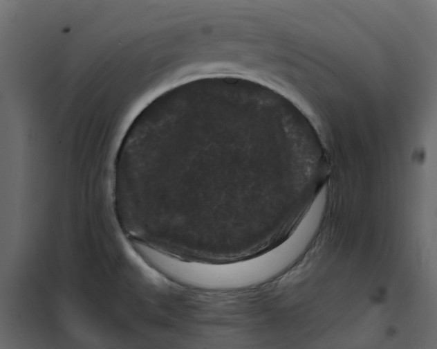 X0000101091527200807171836