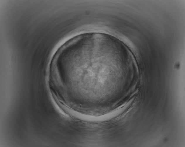 X0000101091528200807171836