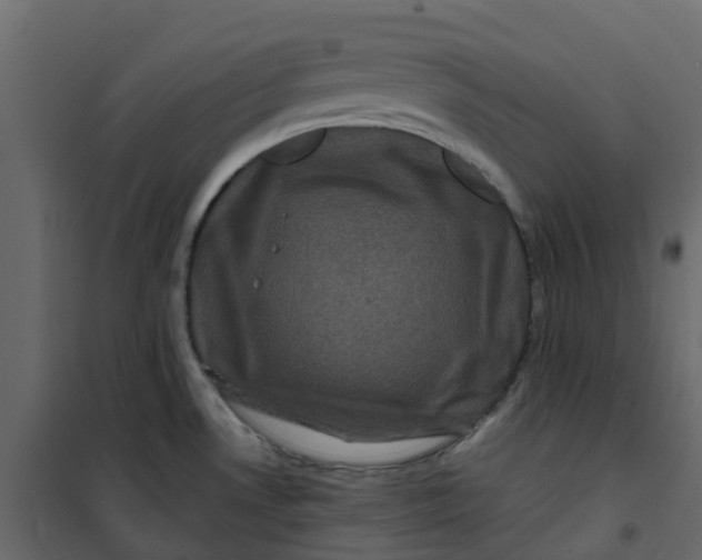 X0000101091530200807171836