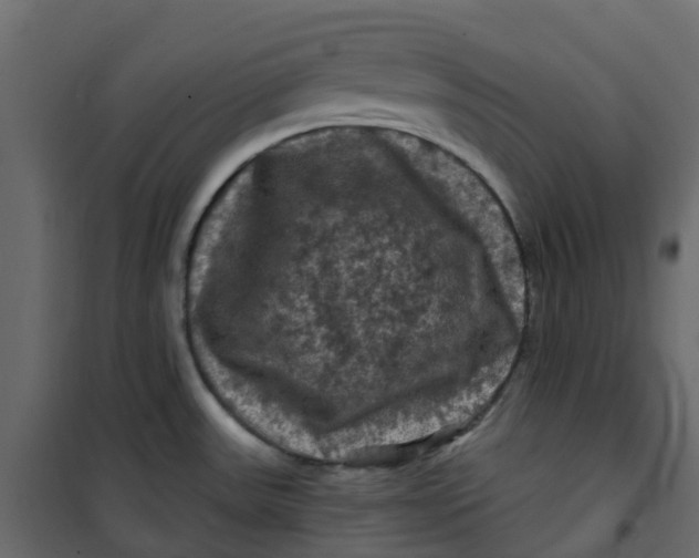 X0000101091531200807171836