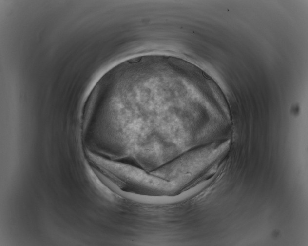 X0000101091532200807171836