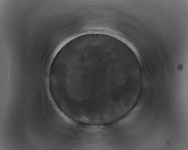 X0000101091533200807171836