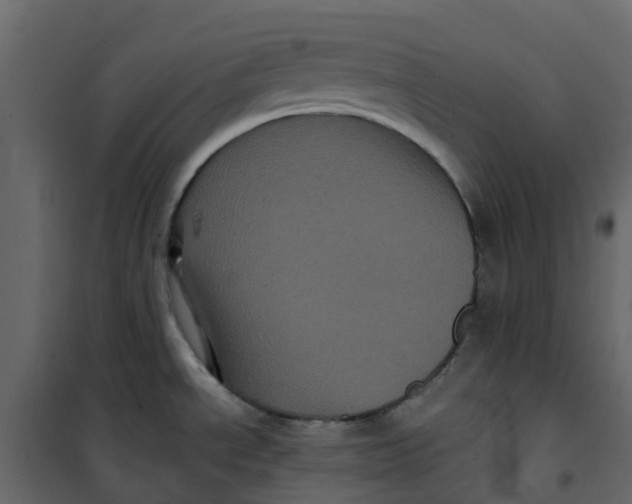 X0000101091534200807171836