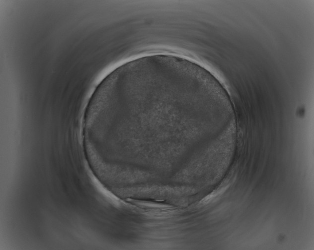 X0000101091535200807171836