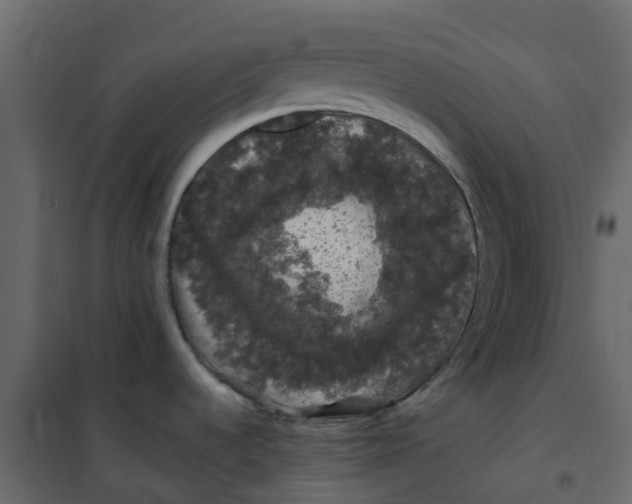 X0000101091536200807171836