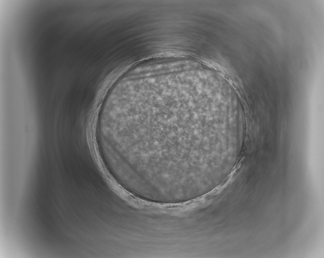 X0000101090001200807241017