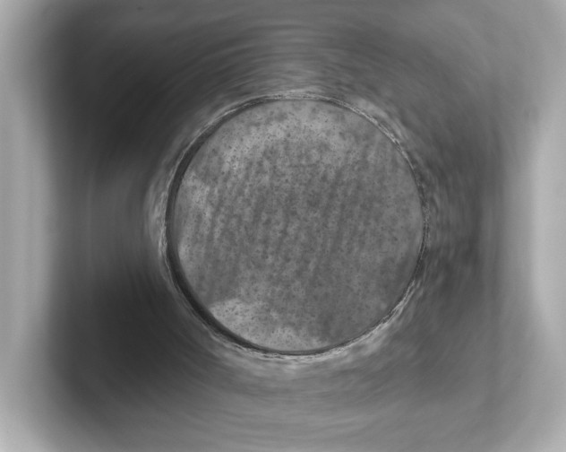 X0000101090002200807241017
