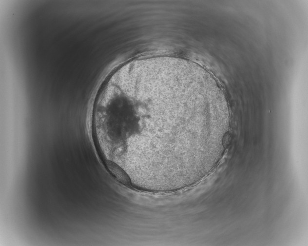 X0000101090003200807241017