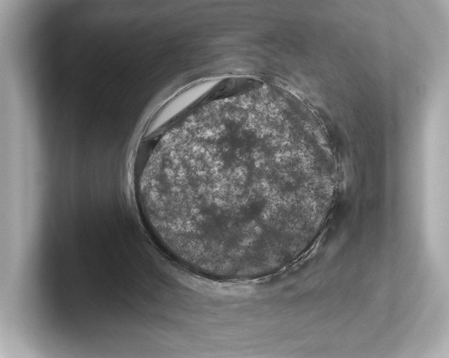 X0000101090004200807241017