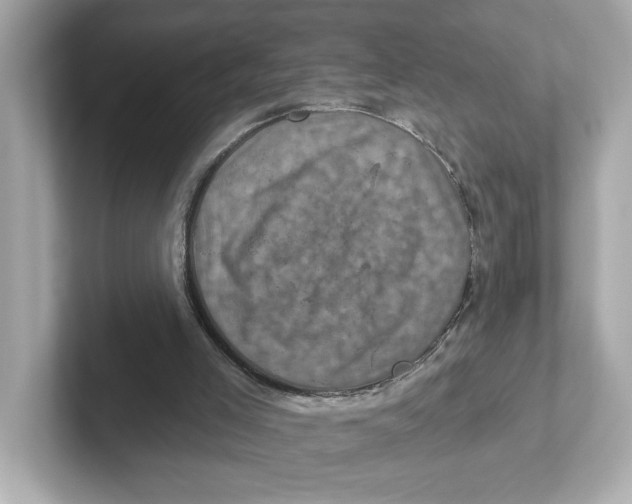 X0000101090005200807241017
