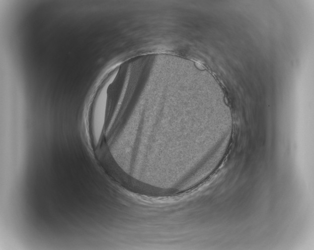 X0000101090006200807241017