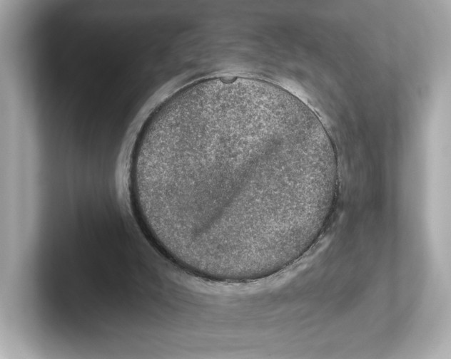 X0000101090007200807241017
