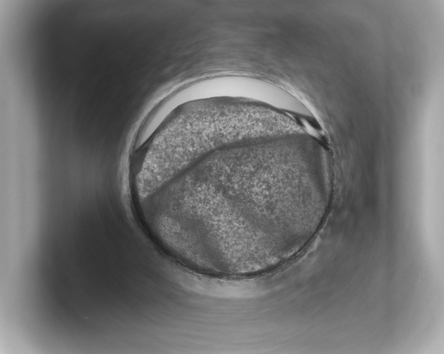 X0000101090008200807241017