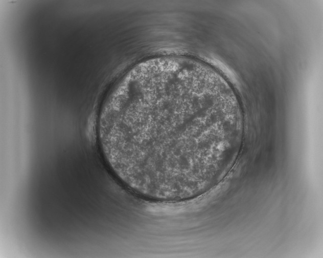 X0000101090009200807241017