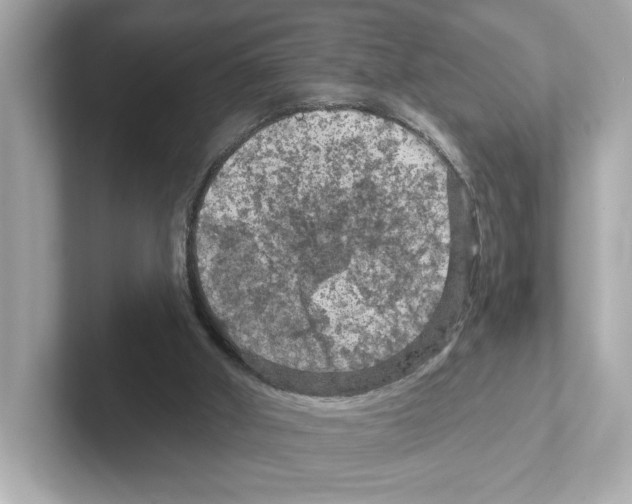X0000101090010200807241017
