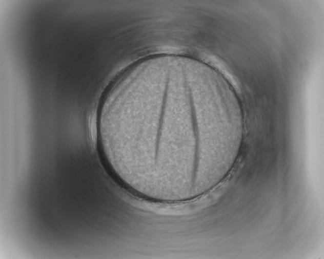 X0000101090011200807241017