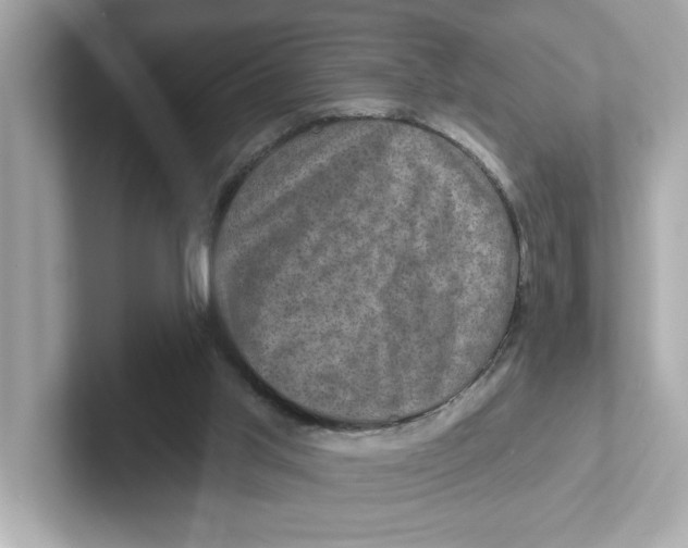 X0000101090013200807241017