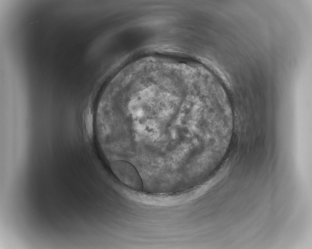 X0000101090014200807241017