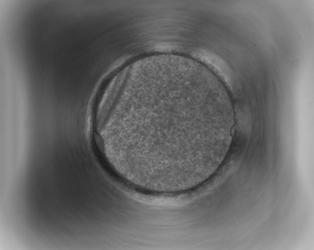 X0000101090016200807241017