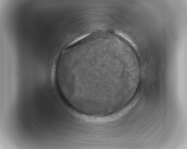 X0000101090018200807241017