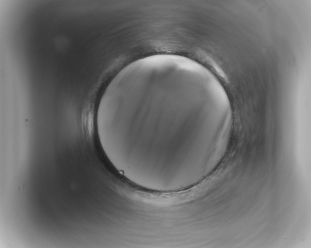 X0000101090019200807241017