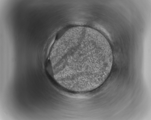 X0000101090020200807241017